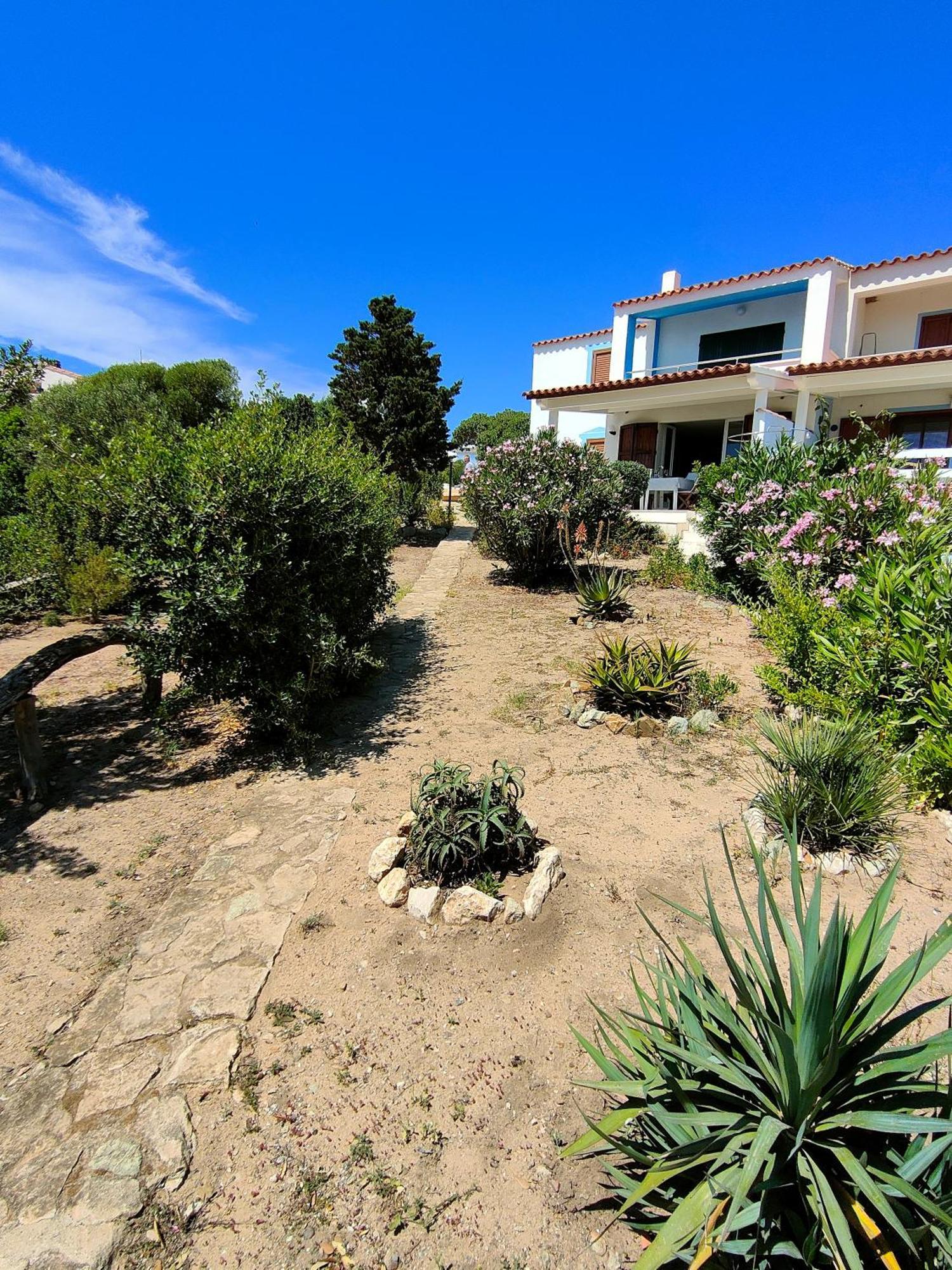 Casa Vacanze Miranda Villa Torre dei Corsari Exterior photo